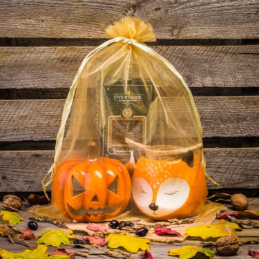 Konkurs z okazji pierwszego dnia jesieni