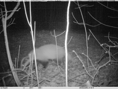 Konkurs "Świętokrzyski Park Narodowy – październik 2019"