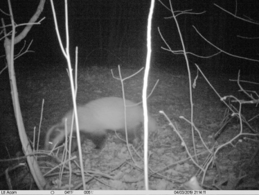 Konkurs "Świętokrzyski Park Narodowy – październik 2019"