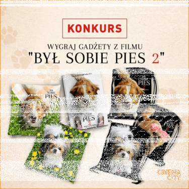 Konkurs "Był sobie pies 2"