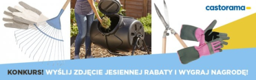 Konkurs fotograficzny "Castorama jesienna rabata"