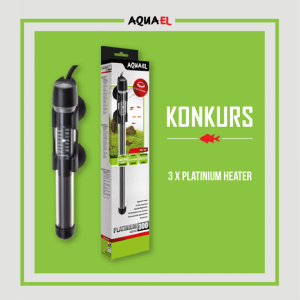 Konkurs fotograficzny "Ulubiona roślina w akwarium"