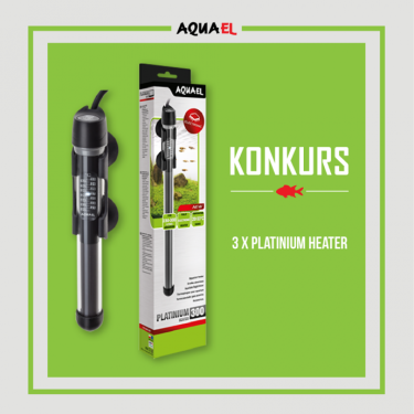 Konkurs fotograficzny "Ulubiona roślina w akwarium"