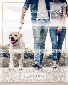 Konkurs fotograficzny "Dzień Pupila 2019"