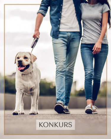 Konkurs fotograficzny "Dzień Pupila 2019"