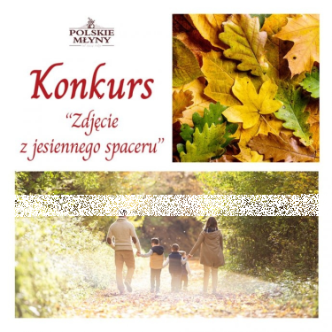 Konkurs fotograficzny "Zdjęcie z jesiennego spaceru"