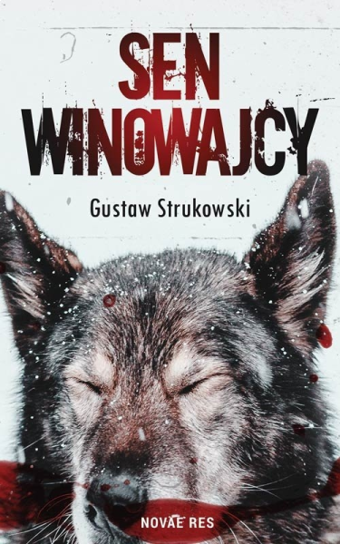 Konkurs "Sen Winowajcy"
