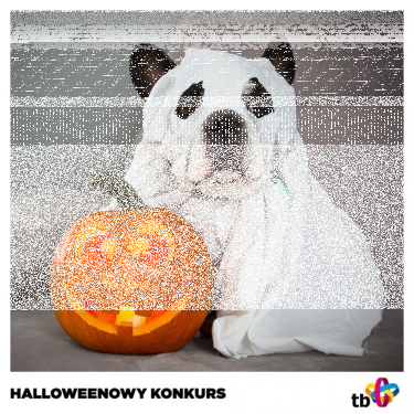 Konkurs "Cukierek albo psikus"