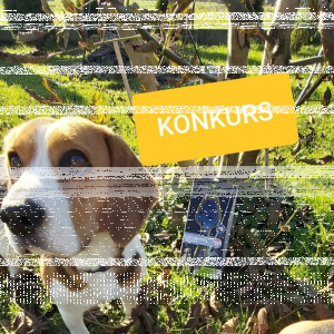 Konkurs "Szczotka Furminator Dual Grooming Brush dla psów i kotów "