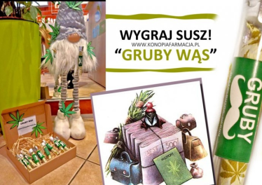 Wygraj Susz konopny Gruby Wąs !