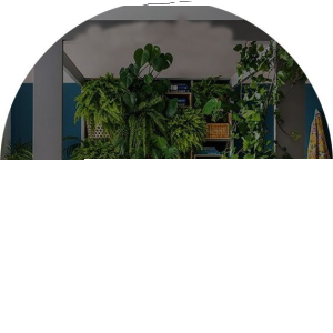 Konkurs "Lirene Natura Instagram"