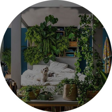 Konkurs "Lirene Natura Instagram"