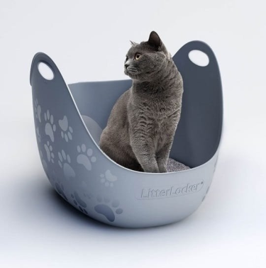 Konkurs "Ulubione zdjęcie mojego kota"