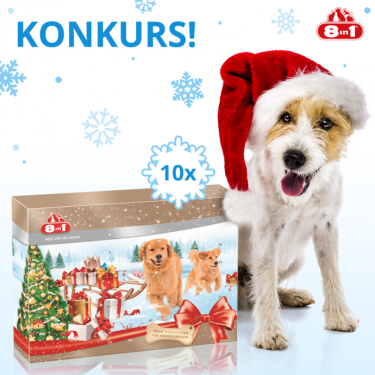 Konkurs fotograficzny "8in1 Kalendarz adwentowy - listopad 2019"