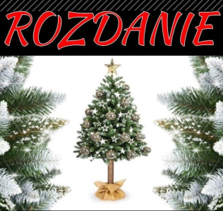 Konkurs "CHOINKA Sosna diamentowa 180cm"