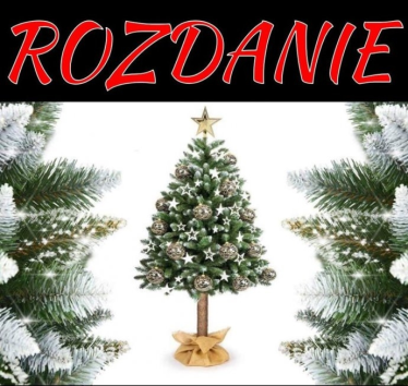 Konkurs "CHOINKA Sosna diamentowa 180cm"