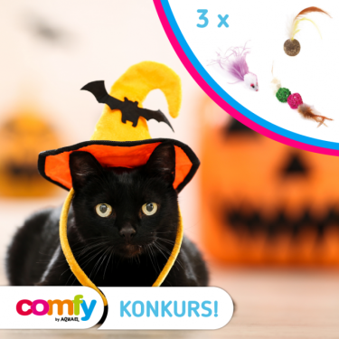 Konkurs "Czy czarny kot jest naprawdę pechowy?"