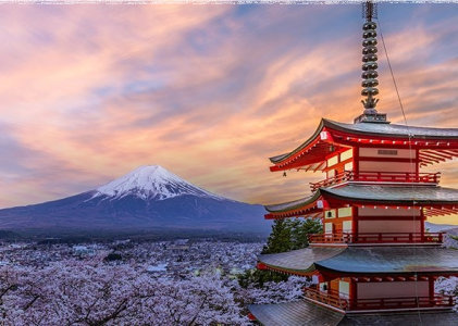 Konkurs "Oral Care - LNB"