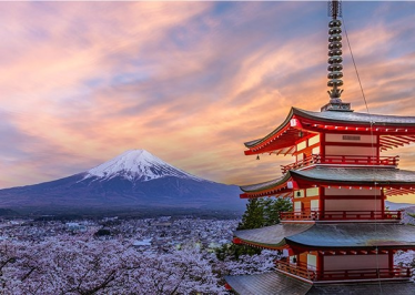 Konkurs "Oral Care - LNB"