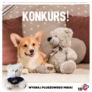 Konkurs "Dzień Pluszowego Misia"