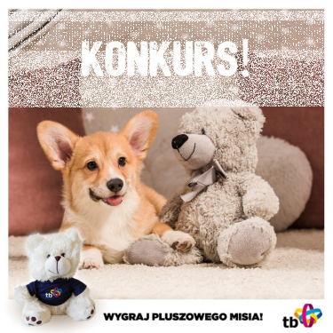 Konkurs "Dzień Pluszowego Misia"