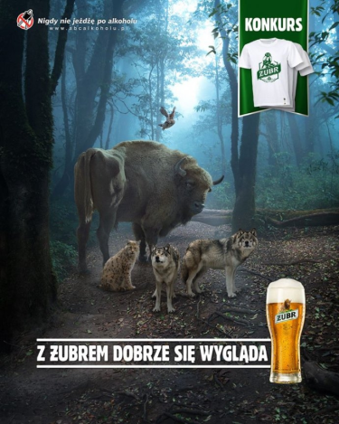Konkurs "Wieczorem wszyscy zbierają się wokół Żubra" 18+