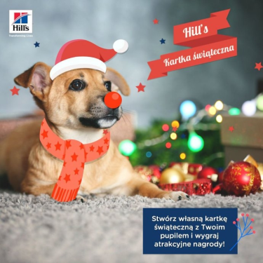 Konkurs "Kartka świąteczna"