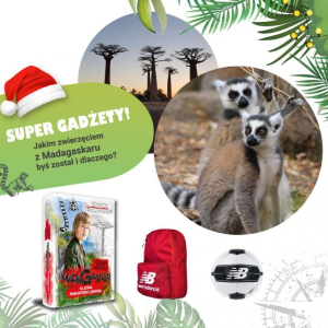 Konkurs "Jakim zwierzęciem z Madagaskaru jesteś?"