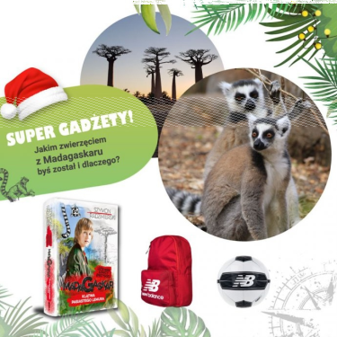 Konkurs "Jakim zwierzęciem z Madagaskaru jesteś?"