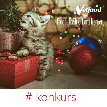 Konkurs fotograficzny: Wygraj zestaw dodatków żywieniowych dla kotów
