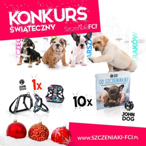 Konkurs fotograficzny "Zdjęcie świąteczne"