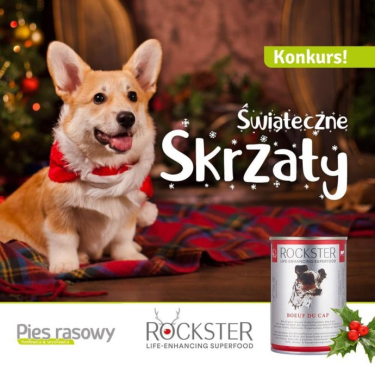 Konkurs "Świąteczne skrzaty"