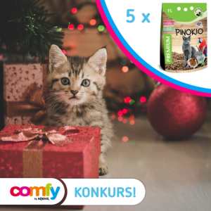 Konkurs fotograficzny "Kot w świątecznej scenerii"