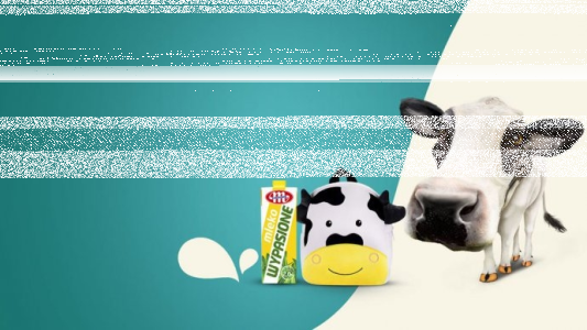 Loteria "Wygraj krowę z mlekiem"