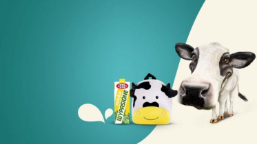 Loteria "Wygraj krowę z mlekiem"