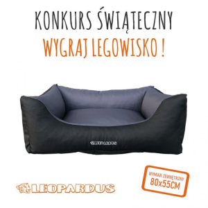Wygraj legowisko dla swojego pupila