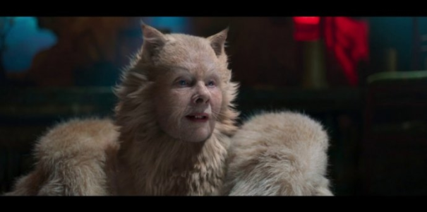 Kutno: Konkurs "Koty w Kinie Kutnowskiego Domu Kultury"