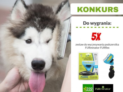 Konkurs "Psia pielęgnacja"