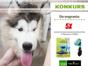 Konkurs "Psia pielęgnacja"