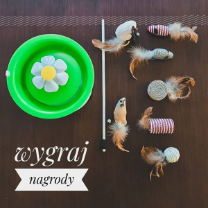 Wygraj zabawki dla kotów