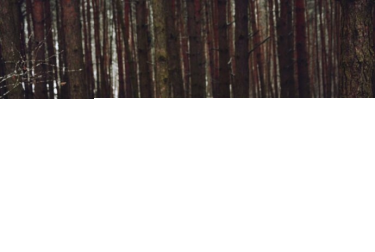 Śrem: Wygraj książki: Izabela M. Krasińska "Aniela" / Daniel C. Taylor "Yeti"