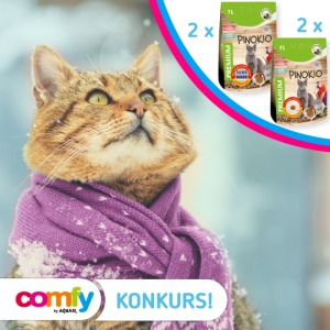 Konkurs "Kocia rymowanka"