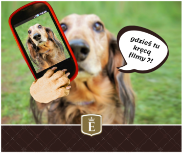 Konkurs "Video ze smakiem"