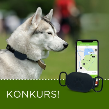 Konkurs fotograficzny "Selfie ze spaceru"