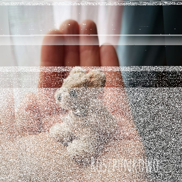 Konkurs "Niespodzianka urodzinowa"