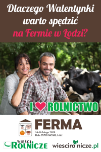 Łódź: Konkurs "Walentynkowy"