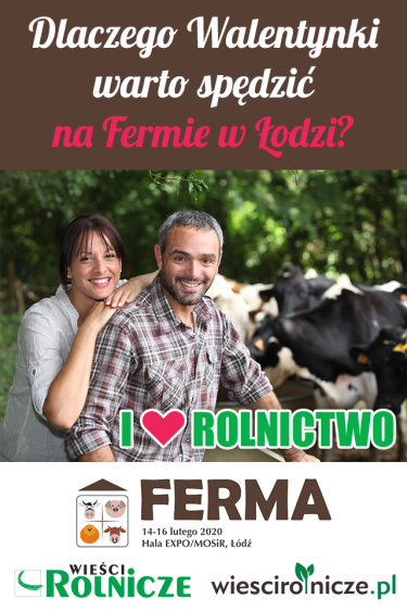 Łódź: Konkurs "Walentynkowy"