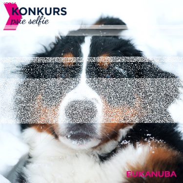 Konkurs "Psie selfie"