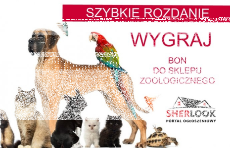 Konkurs fotograficzny: Wygraj bon wartości 200zł