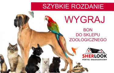 Konkurs fotograficzny: Wygraj bon wartości 200zł
